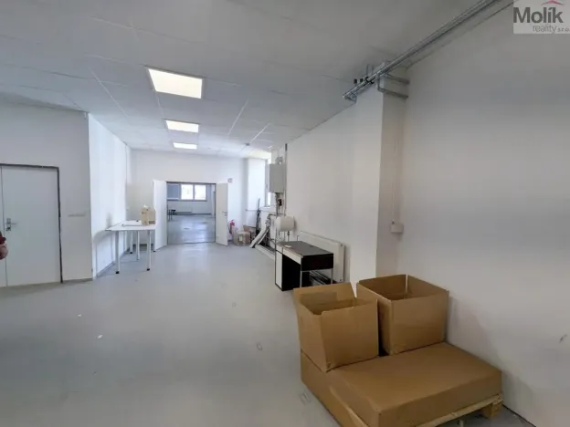 Pronájem výrobních prostor, Teplice, Pražská, 351 m2
