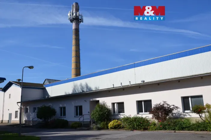 Prodej výrobních prostor, Miletín, Lhotova, 22000 m2