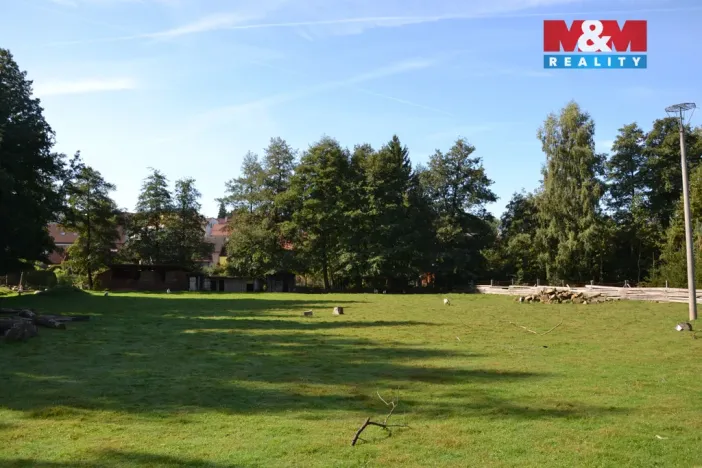 Prodej výrobních prostor, Miletín, Lhotova, 22000 m2