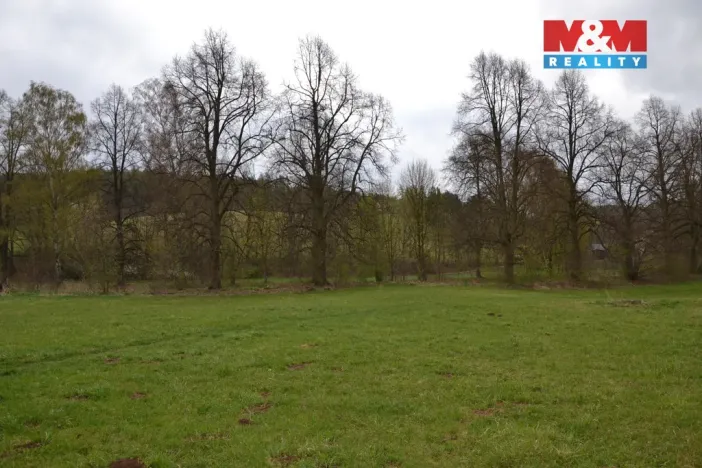 Prodej louky, Náchod - Běloves, 20495 m2