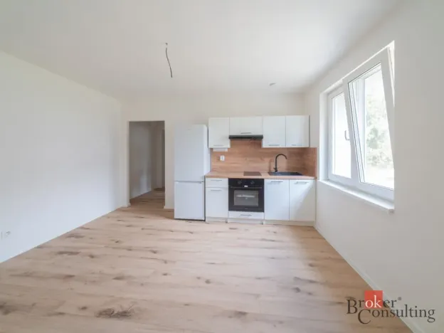 Pronájem bytu 2+kk, Ostrava - Mariánské Hory, Cottonové, 37 m2