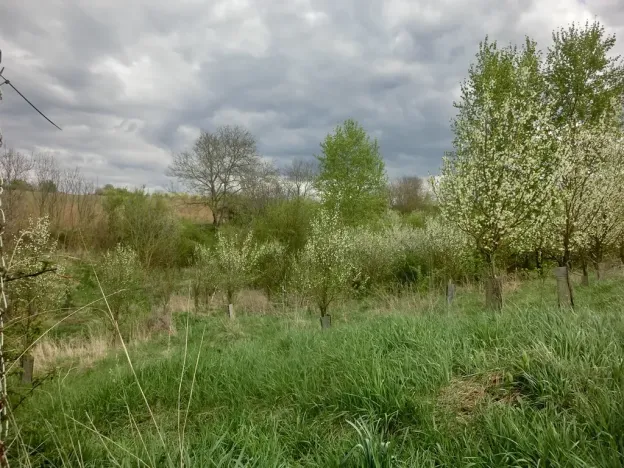 Prodej zahrady, Kunovice, 878 m2