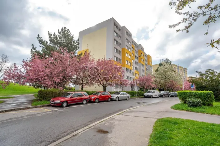 Prodej bytu 1+kk, Praha - Chodov, Nechvílova, 34 m2