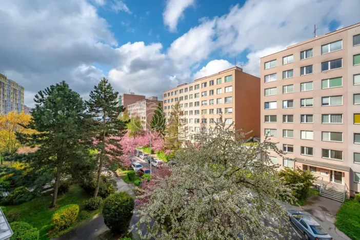 Prodej bytu 1+kk, Praha - Chodov, Nechvílova, 34 m2