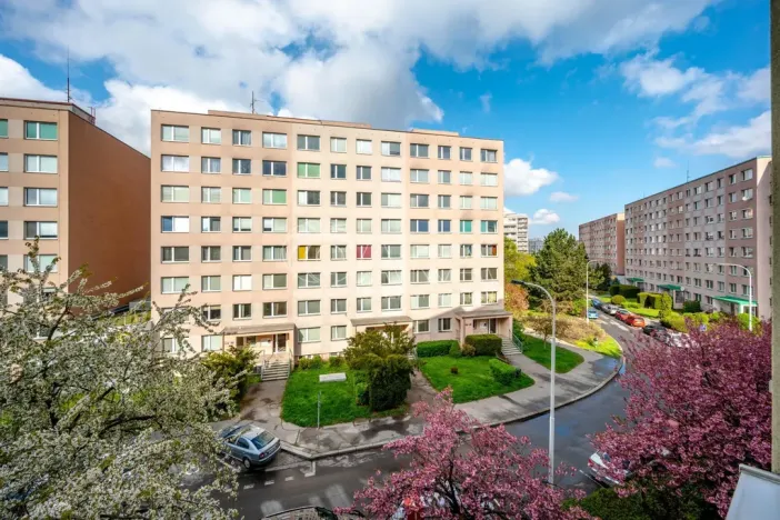 Prodej bytu 1+kk, Praha - Chodov, Nechvílova, 34 m2