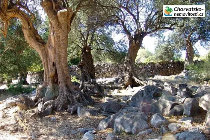 Prodej bytu 2+kk, Lun, Chorvatsko, 70 m2