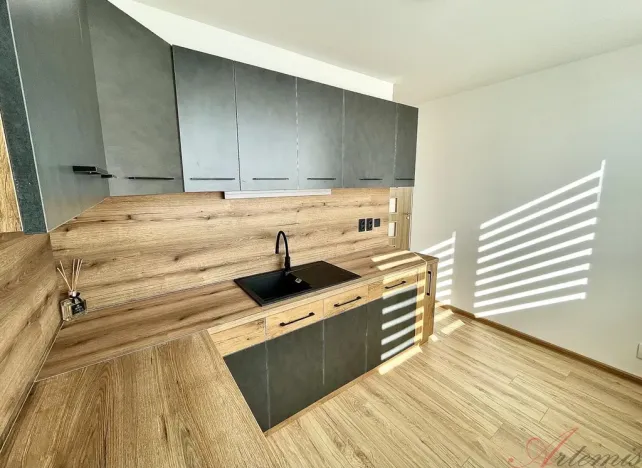 Prodej bytu 2+1, Ostrava - Hrabůvka, Františka Hajdy, 47 m2