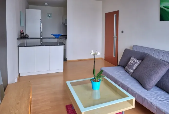 Pronájem bytu 2+kk, Praha - Chodov, Nechvílova, 54 m2