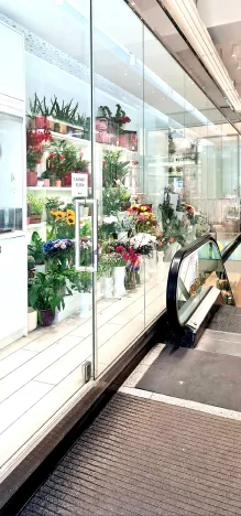 Pronájem obchodního prostoru, Praha, Na Poříčí, 25 m2