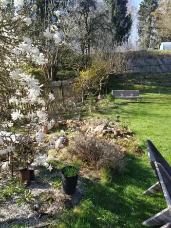 Prodej zahrady, Žlutice, Smetanova, 569 m2