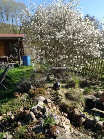 Prodej zahrady, Žlutice, Smetanova, 569 m2