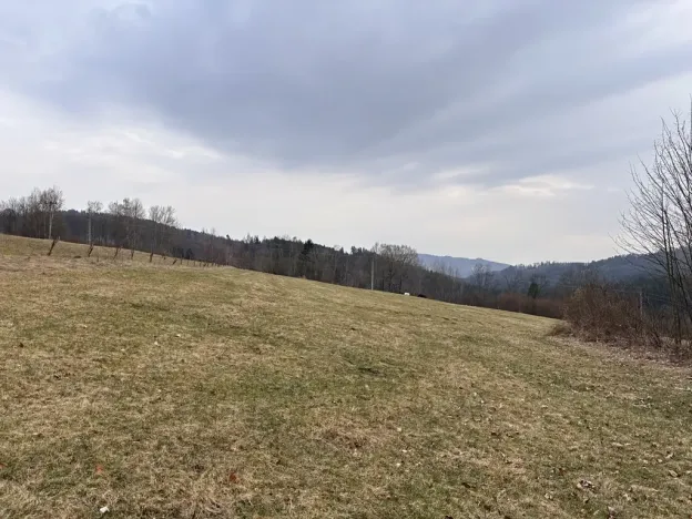 Prodej louky, Proseč pod Ještědem, 3510 m2