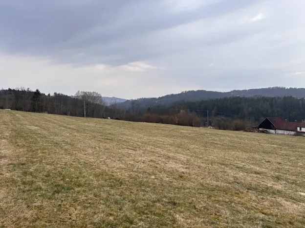 Prodej louky, Proseč pod Ještědem, 3510 m2