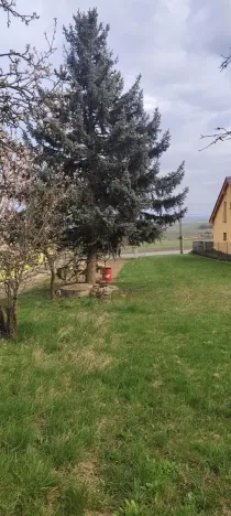 Prodej pozemku pro bydlení, Viničné Šumice, 2431 m2