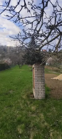 Prodej pozemku pro bydlení, Viničné Šumice, 2431 m2