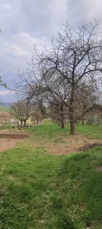 Prodej pozemku pro bydlení, Viničné Šumice, 2431 m2