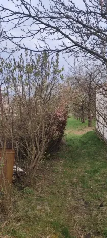 Prodej pozemku pro bydlení, Viničné Šumice, 2431 m2