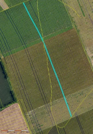 Prodej pole, Dolní Bojanovice, 8368 m2