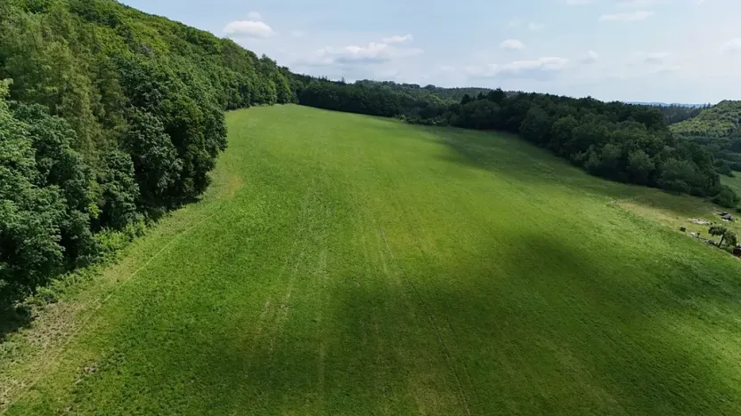 Prodej podílu louky, Bradlecká Lhota, 52392 m2