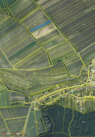 Prodej sadu/vinice, Milovice, 5613 m2