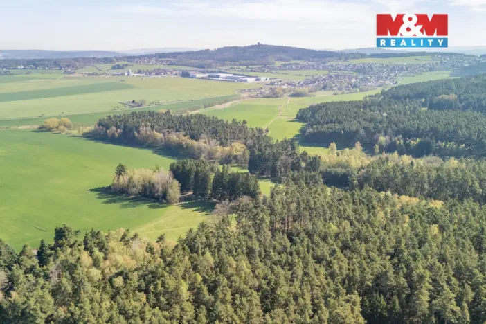 Prodej lesa, Losiná, 2645 m2