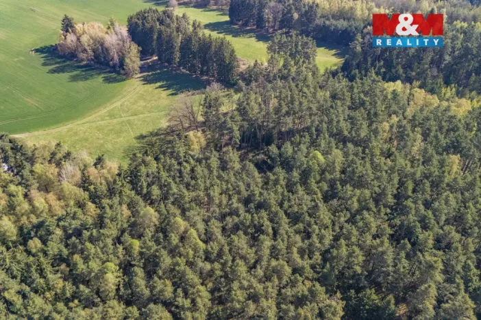 Prodej lesa, Losiná, 2645 m2