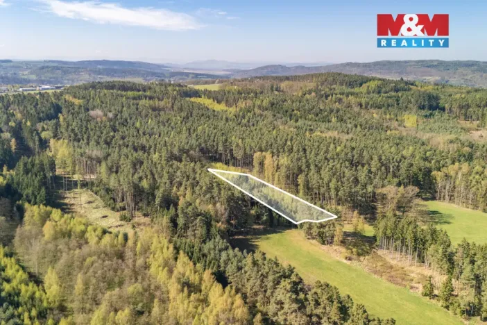 Prodej lesa, Losiná, 2645 m2