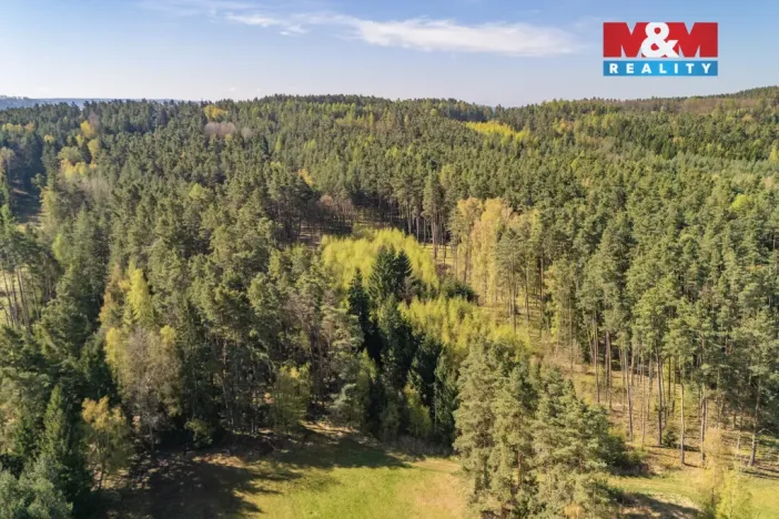Prodej lesa, Losiná, 2645 m2