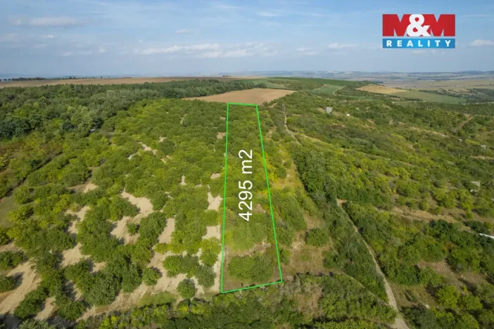 Prodej pole, Židlochovice, 4295 m2