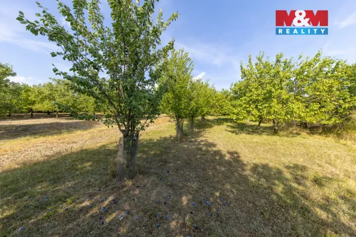 Prodej pole, Židlochovice, 4295 m2