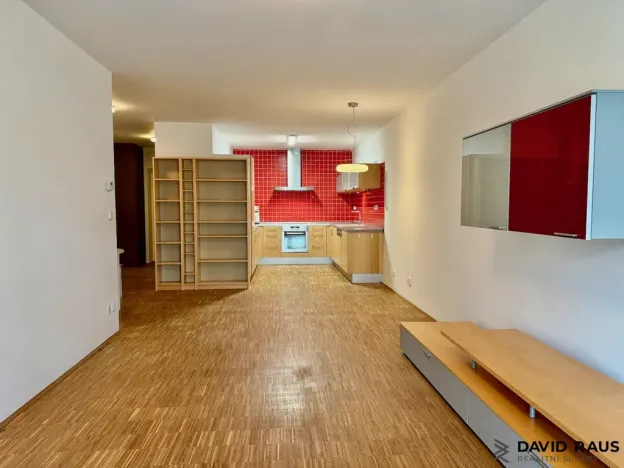 Pronájem bytu 2+kk, Brno - Lesná, Haškova, 80 m2