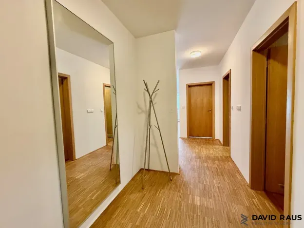 Pronájem bytu 2+kk, Brno - Lesná, Haškova, 80 m2
