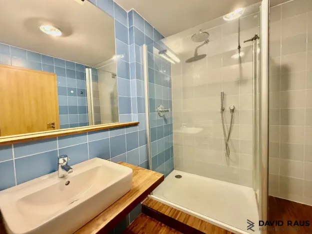 Pronájem bytu 2+kk, Brno - Lesná, Haškova, 80 m2