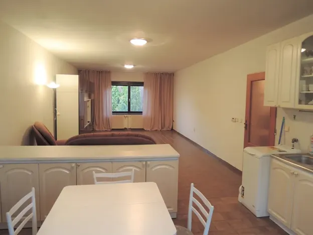 Pronájem bytu 3+kk, Brno, Javorová, 75 m2
