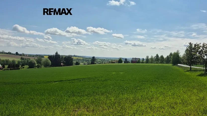 Prodej pozemku pro bydlení, Borová, 7429 m2