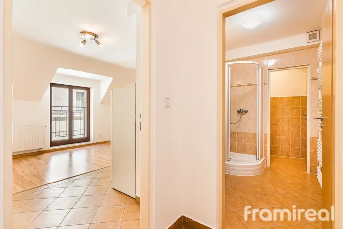 Pronájem bytu 4+kk, Brno, Starobrněnská, 68 m2