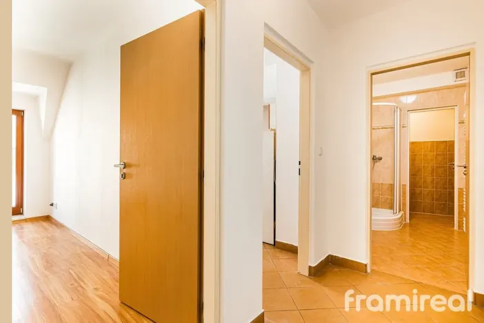 Pronájem bytu 4+kk, Brno, Starobrněnská, 68 m2