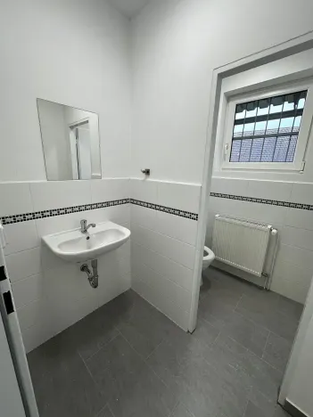 Pronájem komerčního pozemku, Malotice, 350 m2