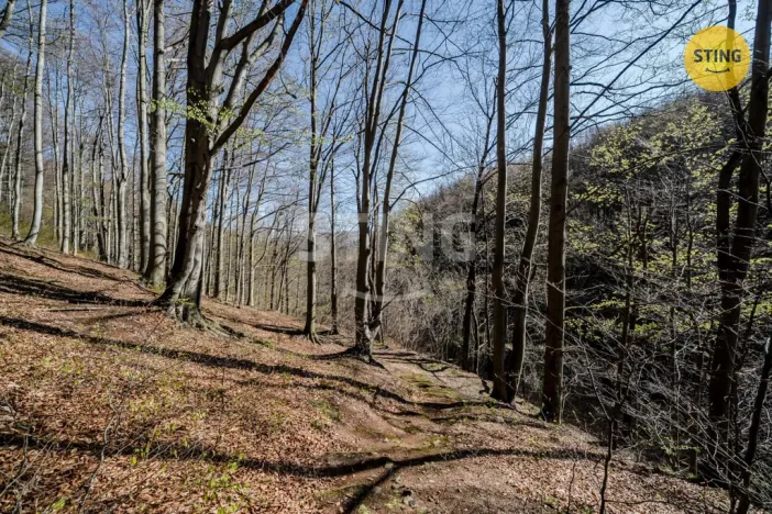 Prodej chaty, Komorní Lhotka, 62 m2