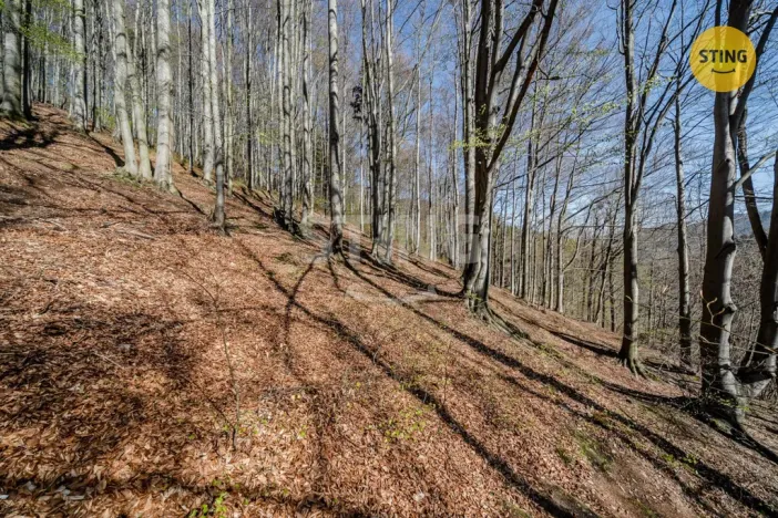 Prodej chaty, Komorní Lhotka, 62 m2