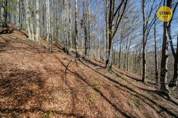 Prodej chaty, Komorní Lhotka, 62 m2