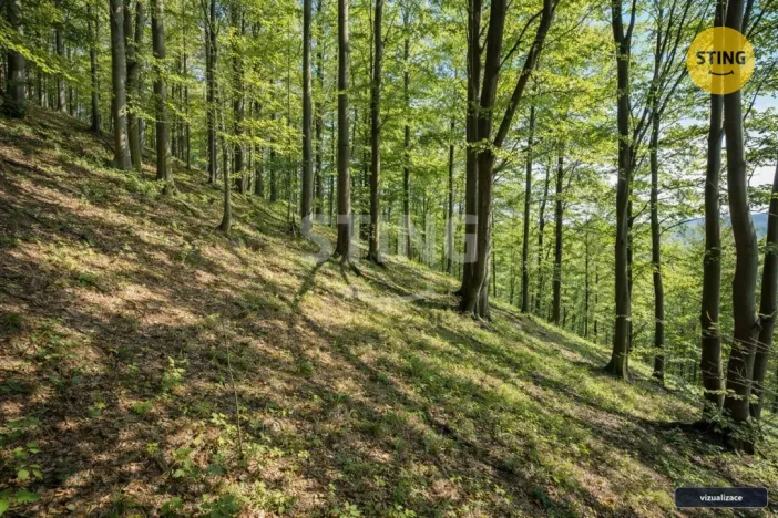 Prodej chaty, Komorní Lhotka, 62 m2