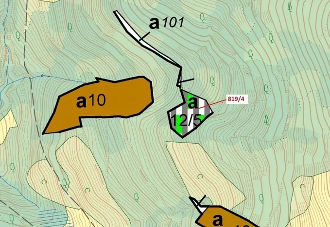 Dražba lesa, Zubrnice, 2875 m2