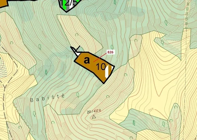 Dražba lesa, Zubrnice, 4610 m2