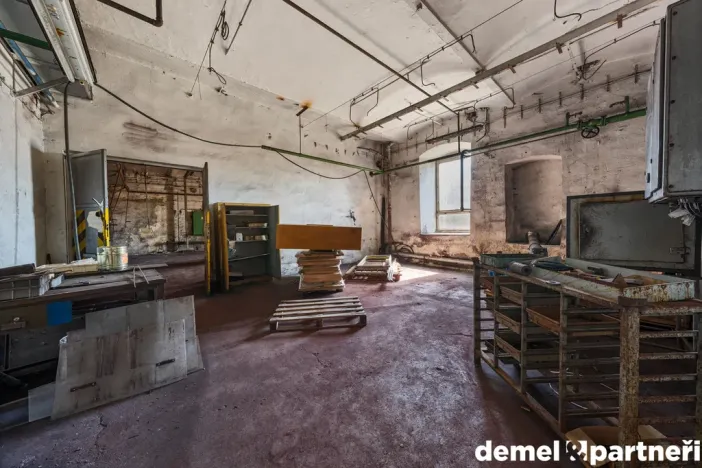 Prodej výrobních prostor, Světlá Hora - Světlá, 6500 m2