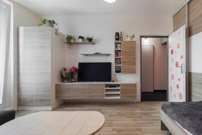 Prodej bytu 1+1, Olomouc - Nová Ulice, Hraniční, 34 m2