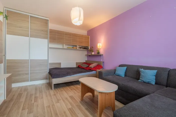 Prodej bytu 1+1, Olomouc - Nová Ulice, Hraniční, 34 m2