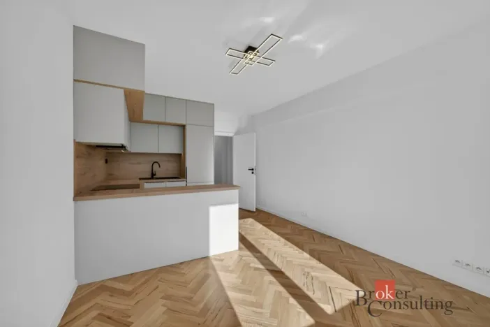 Pronájem bytu 3+kk, Plzeň - Východní Předměstí, Francouzská třída, 60 m2