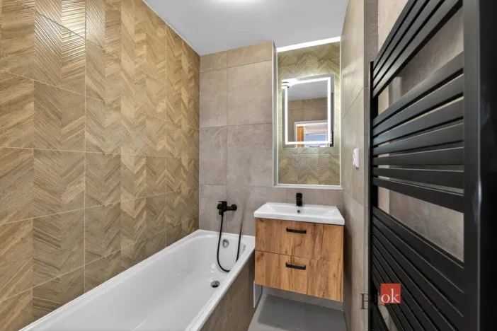 Pronájem bytu 3+kk, Plzeň - Východní Předměstí, Francouzská třída, 60 m2