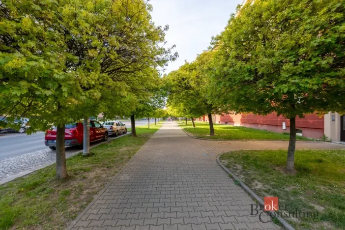 Pronájem bytu 3+kk, Plzeň - Východní Předměstí, Francouzská třída, 60 m2